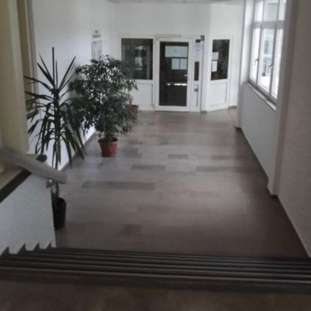 moderne Ferienwohnung mit WLAN+Schwimmbad+Sauna Hohegeiß Exterior foto